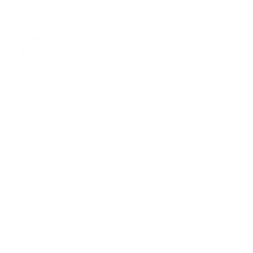 Tooth