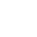 Body scan